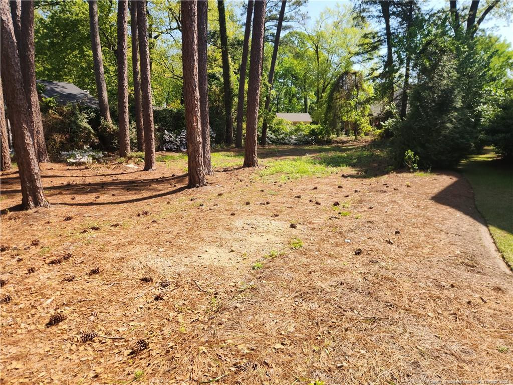 215 Devane Street Property Photo 3