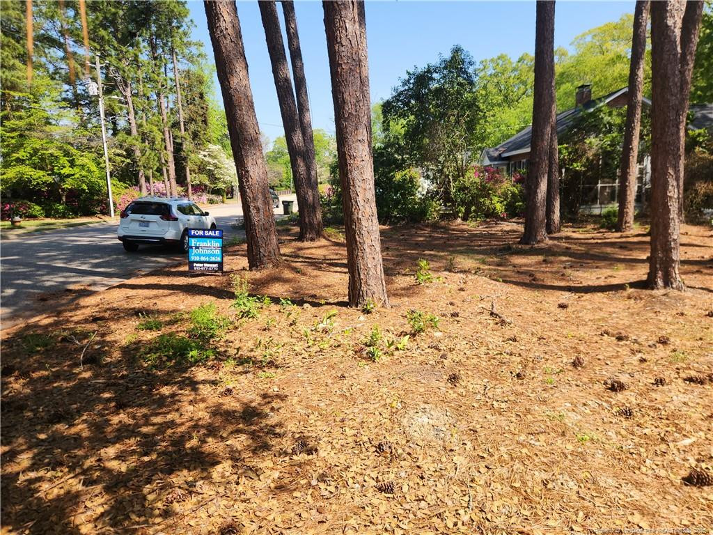 215 Devane Street Property Photo 4