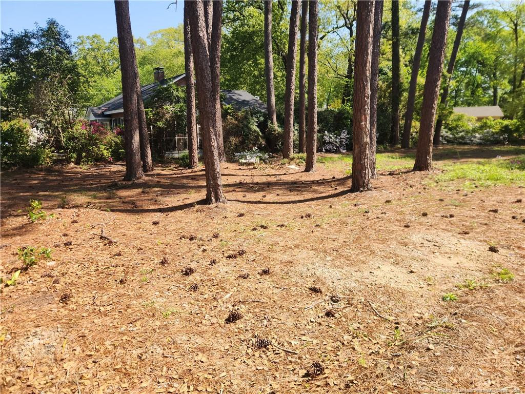 215 Devane Street Property Photo 5