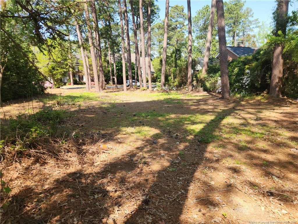215 Devane Street Property Photo 7