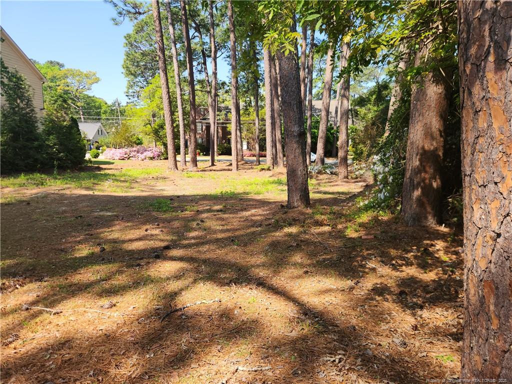 215 Devane Street Property Photo 8