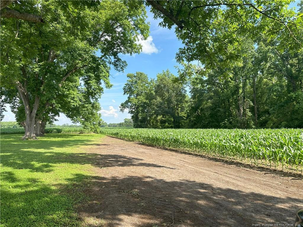 Lot A Pleasant Hope Road Property Photo