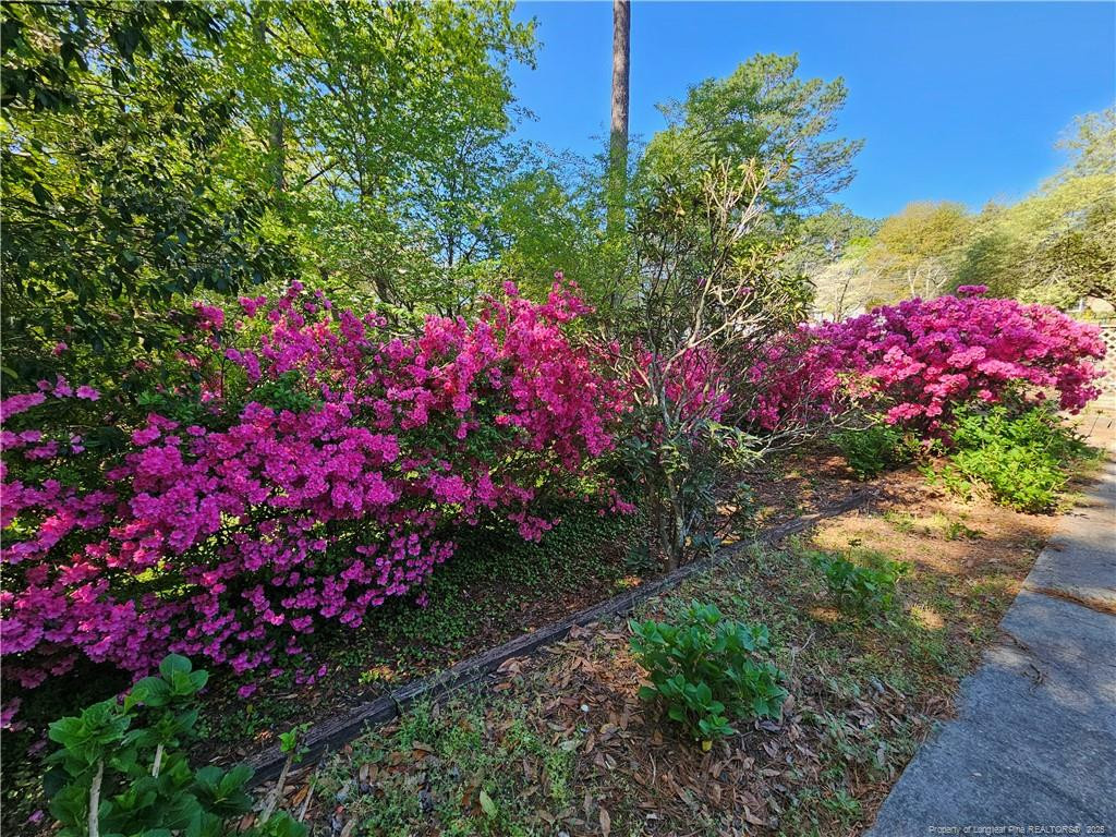 750 Galloway Drive Property Photo 22