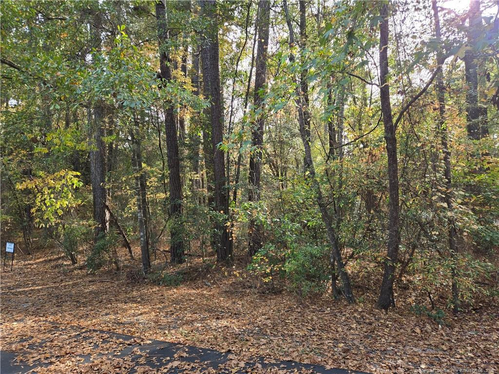Lot 47 A Cypress Creek Corner Property Photo 1