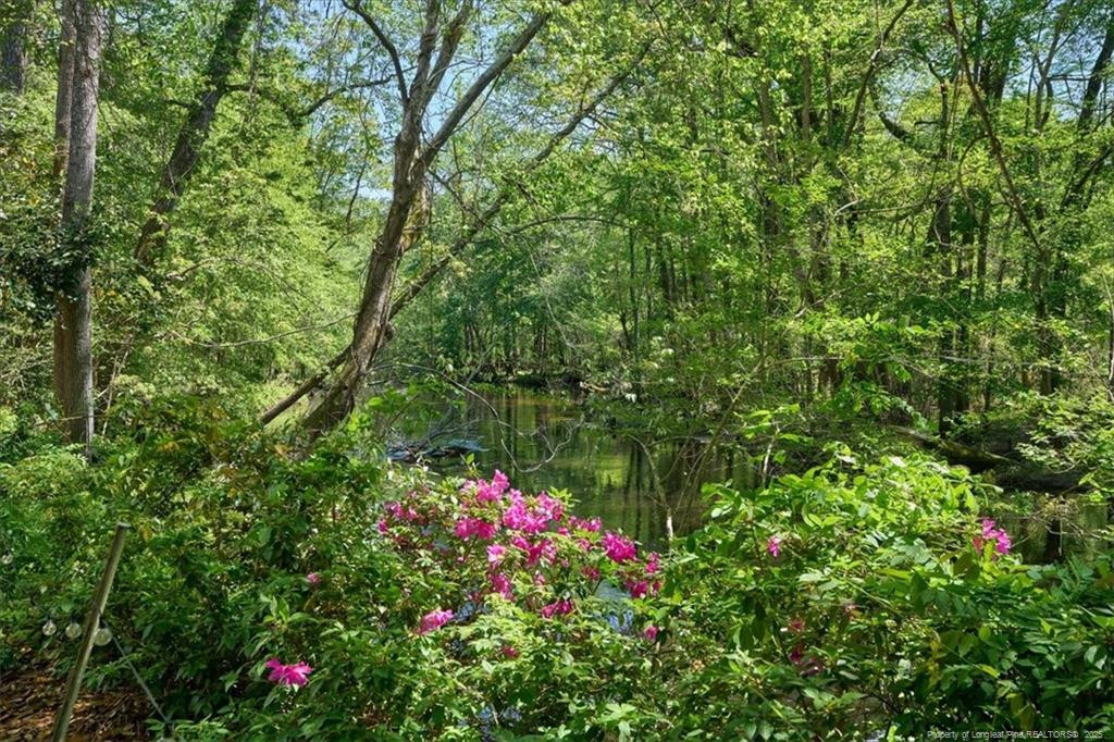 1325 Deep Branch Road Property Photo 9