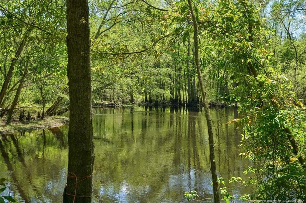 1325 Deep Branch Road Property Photo 10