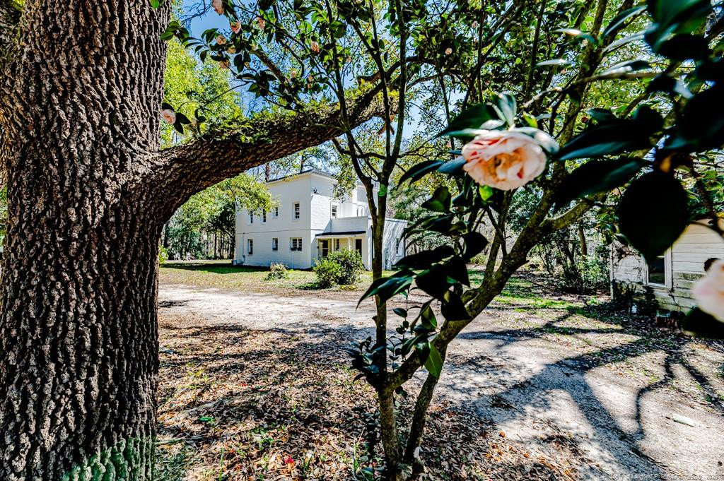 1325 Deep Branch Road Property Photo 44