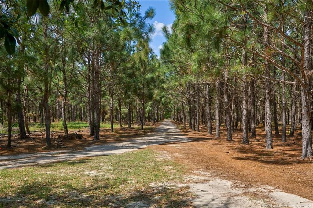 1325 Deep Branch Road Property Photo 45