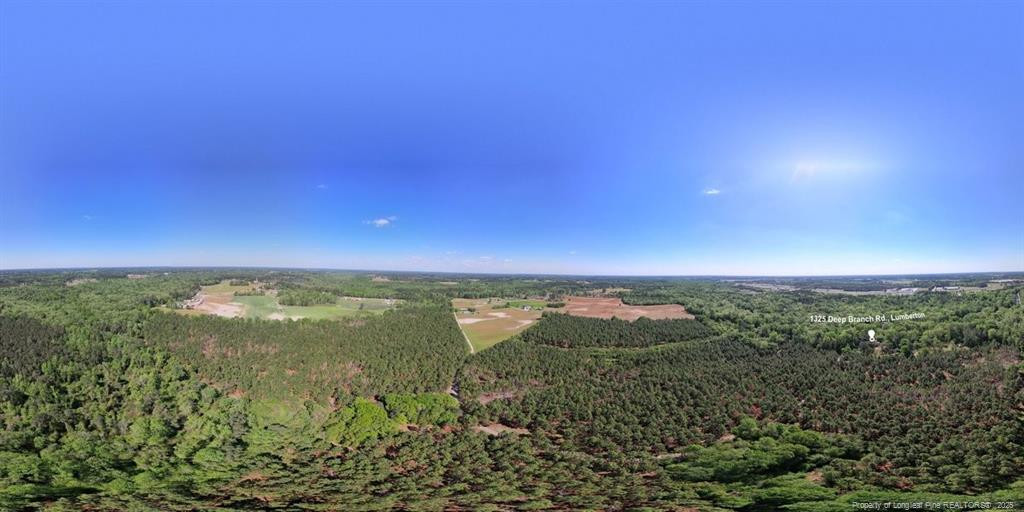 1325 Deep Branch Road Property Photo 48