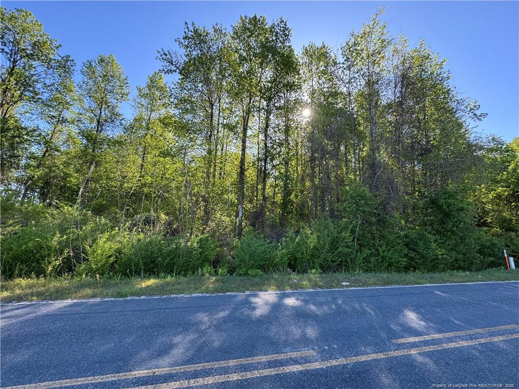 McBryde Mill Road