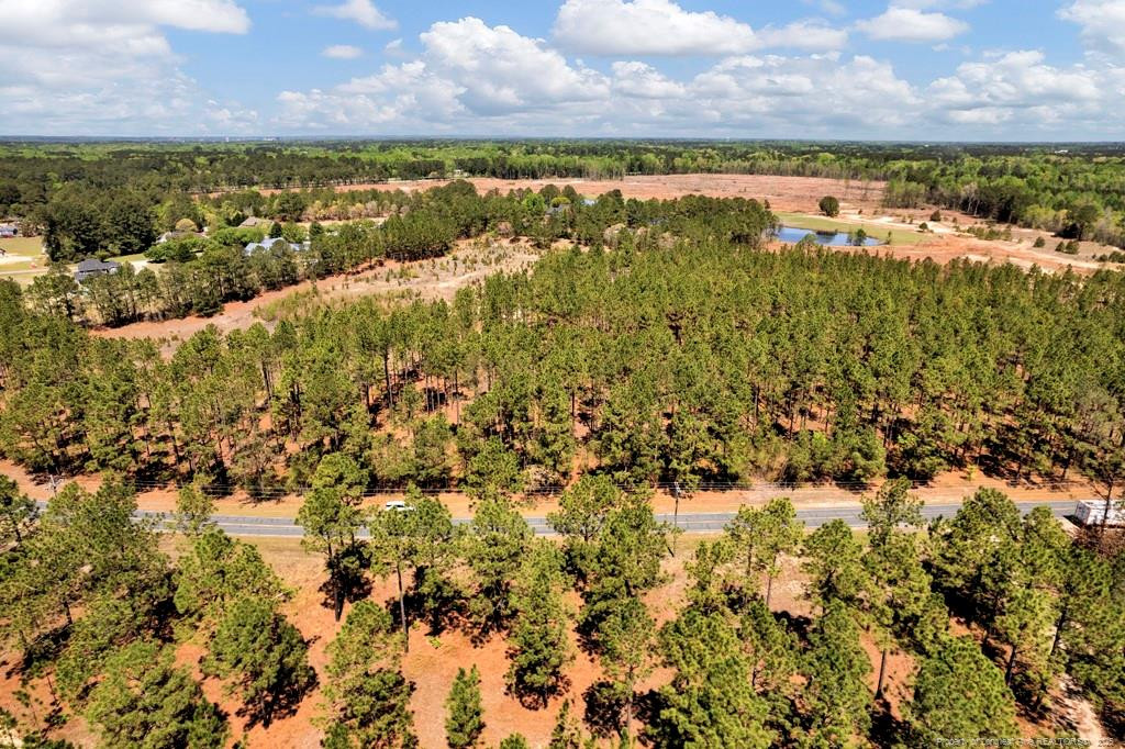 00 Fields (lot 7) Road Property Photo 7