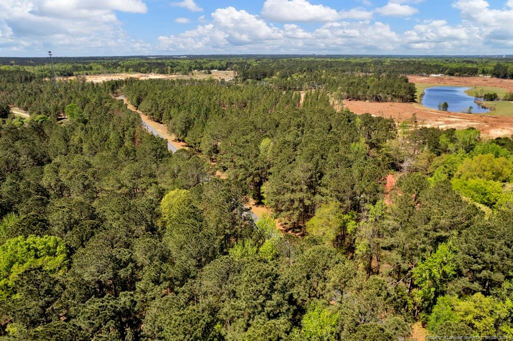 00 Fields (lot 7) Road Property Photo 13