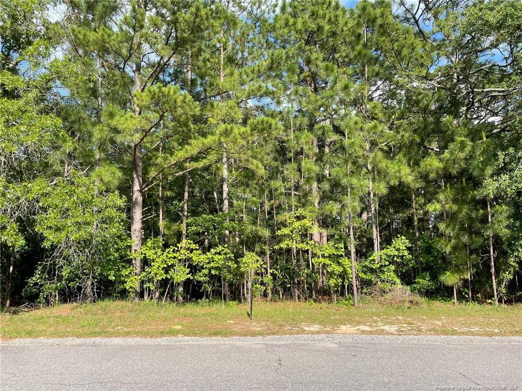 7904 Bankers Drive Property Photo 1