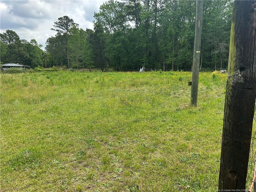 5313 Delores Drive Property Photo 3