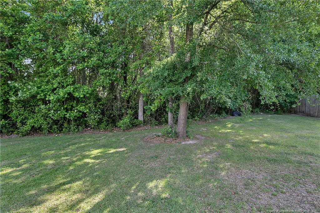 4631 Cedar Pass Drive Property Photo 45