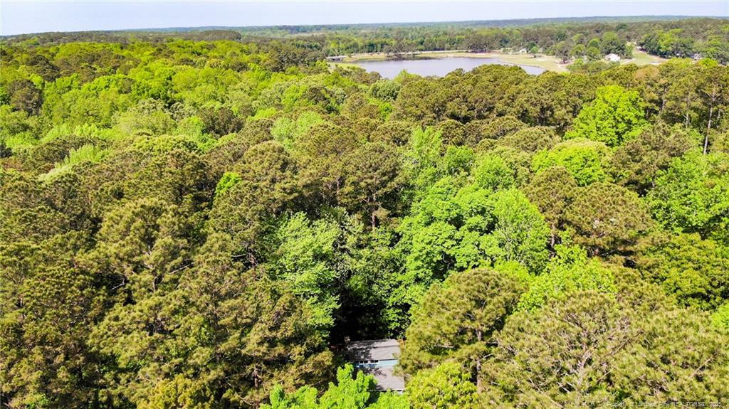 416 Harbor Trace Property Photo 33