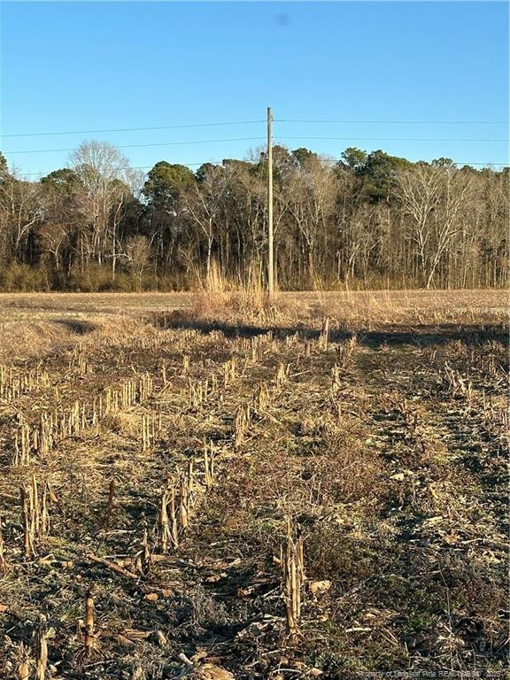 473 Costner Road Property Photo 1