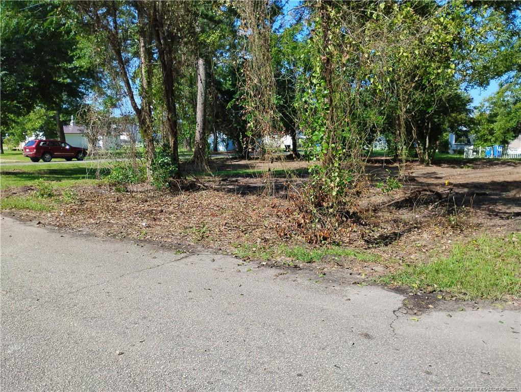 Foch Street Property Photo 1