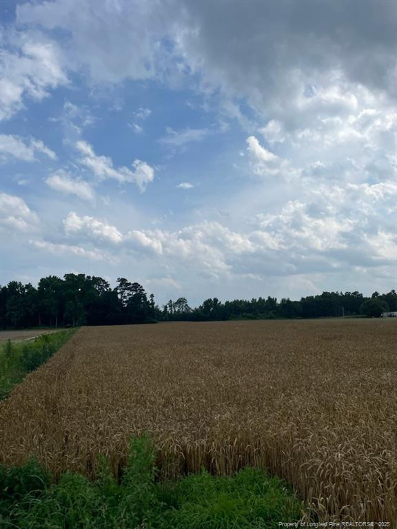 Nc Hwy 55 Property Photo 1