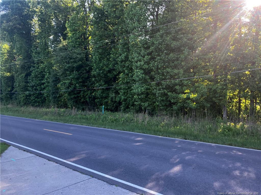 0 Lemon Springs Road Property Photo 1