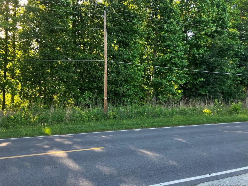 0 Lemon Springs Road Property Photo 3