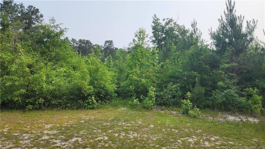 398 Dogwood Trail Property Photo 1