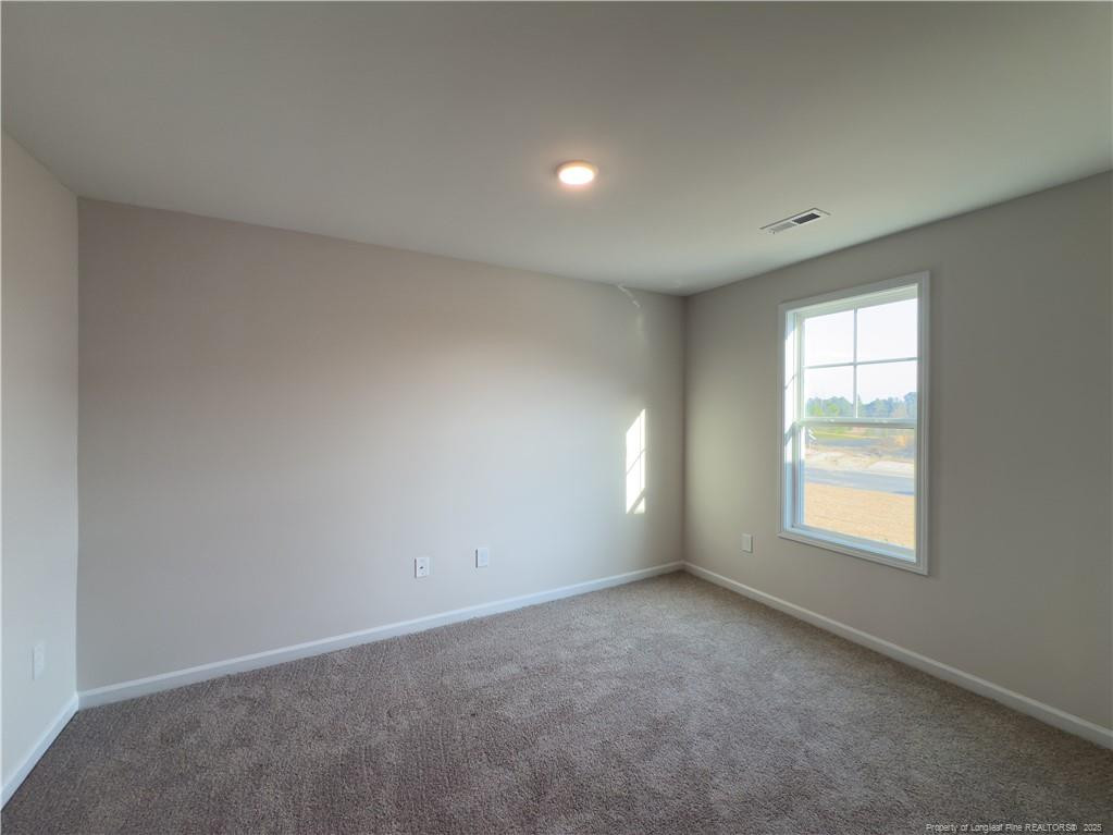 2126 Purebred (lot 164) Circle Property Photo 19