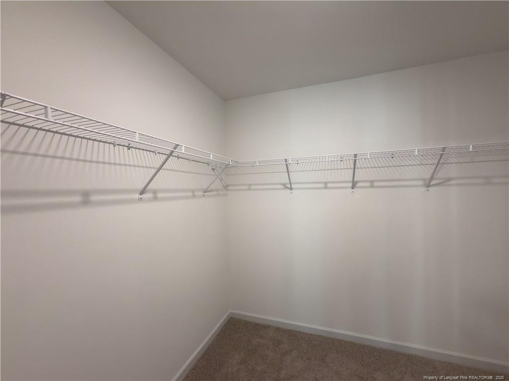 2126 Purebred (lot 164) Circle Property Photo 29