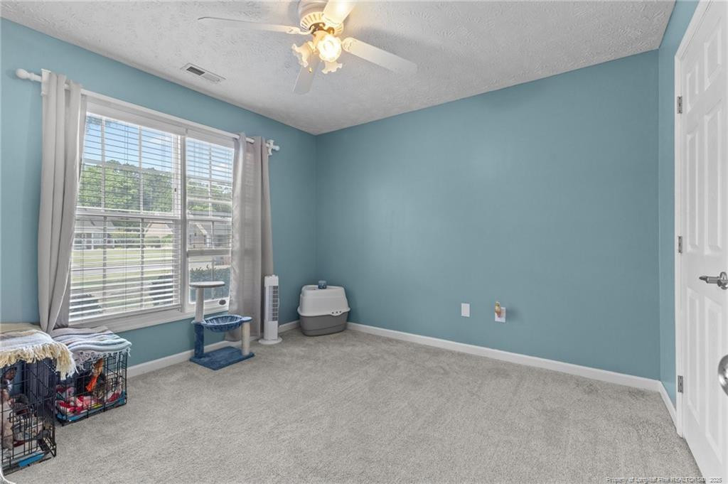 4511 Bluebush Drive Property Photo 15