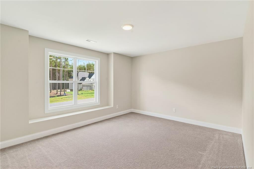 931 Rhum (lot 31) Drive Property Photo 26