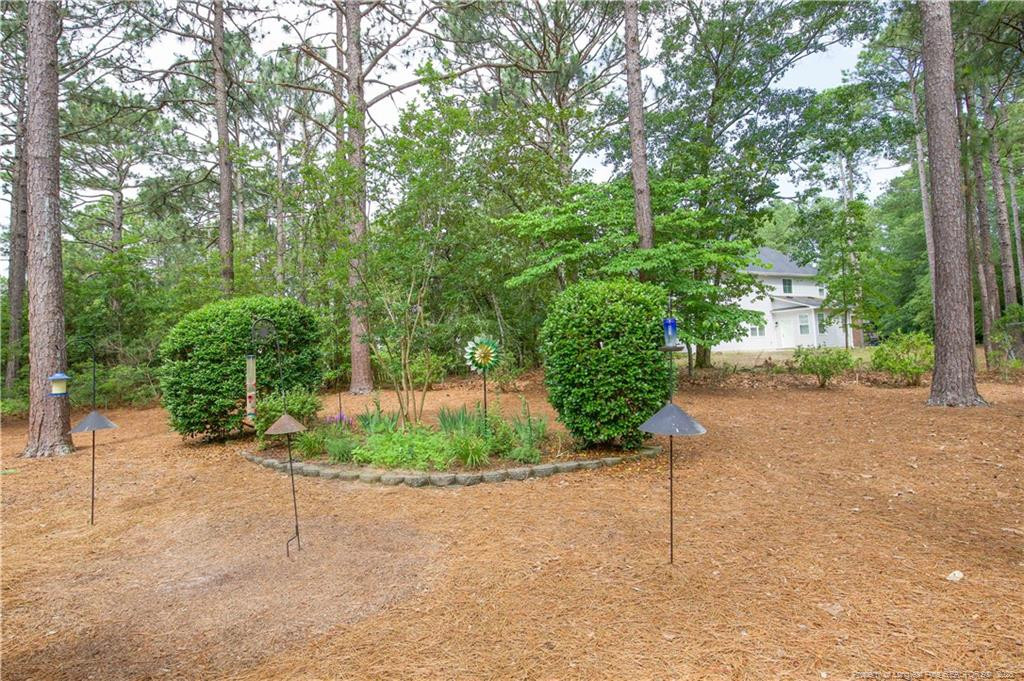 957 Blackeyed Susan Place Property Photo 50