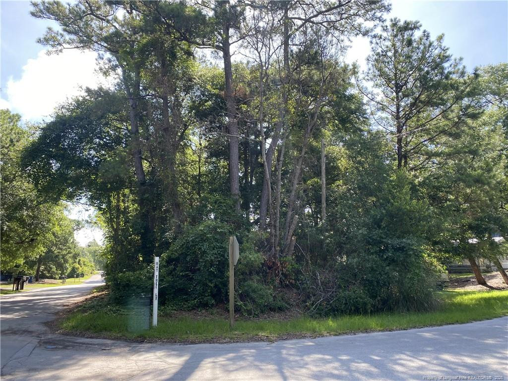 320 Bay Tree Lane Property Photo 3