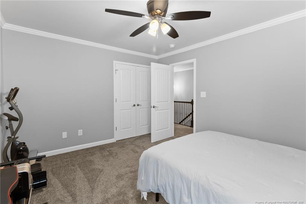5608 Duncan Street Property Photo 20