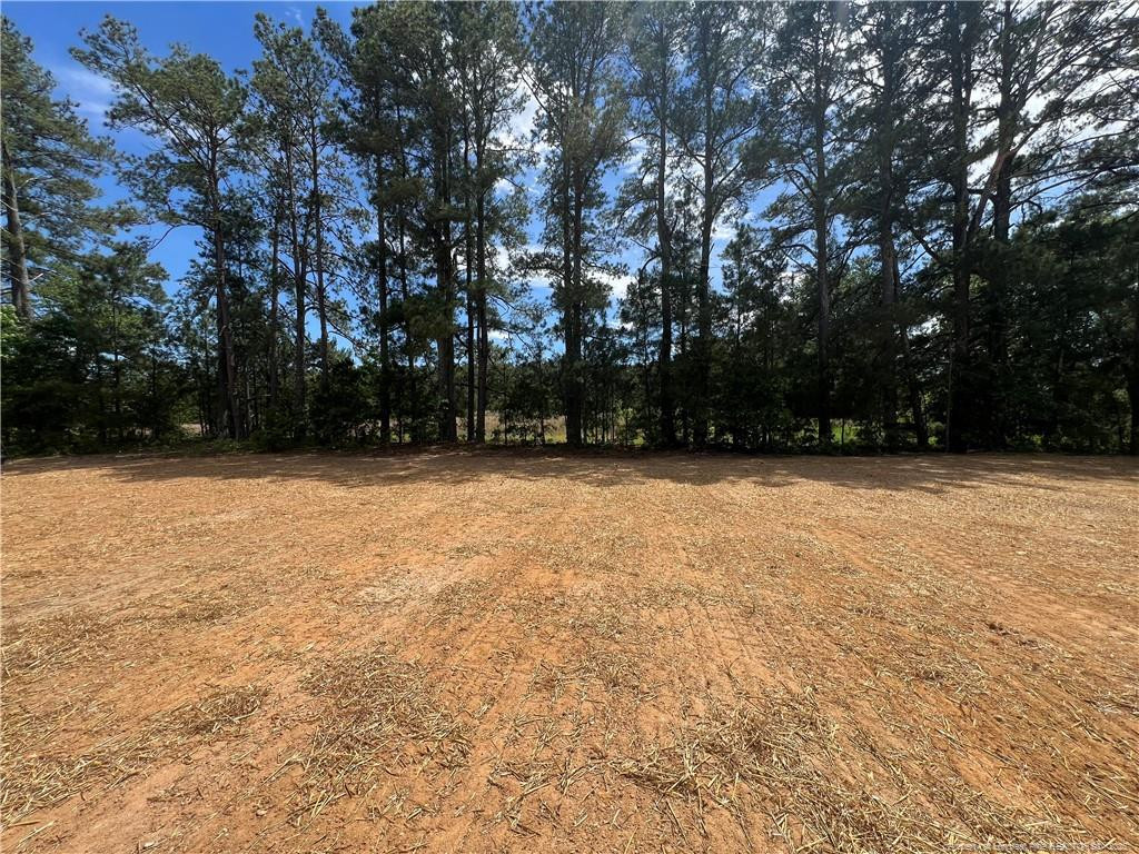 320 Traveller Way Place Property Photo 31