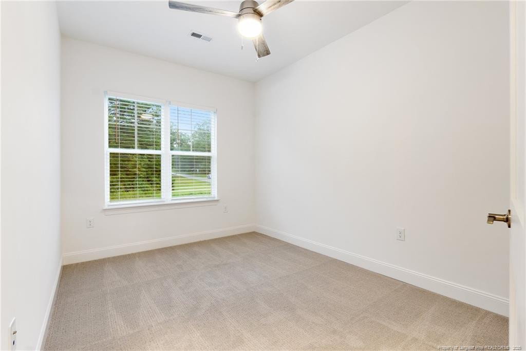 353 James Street Property Photo 23