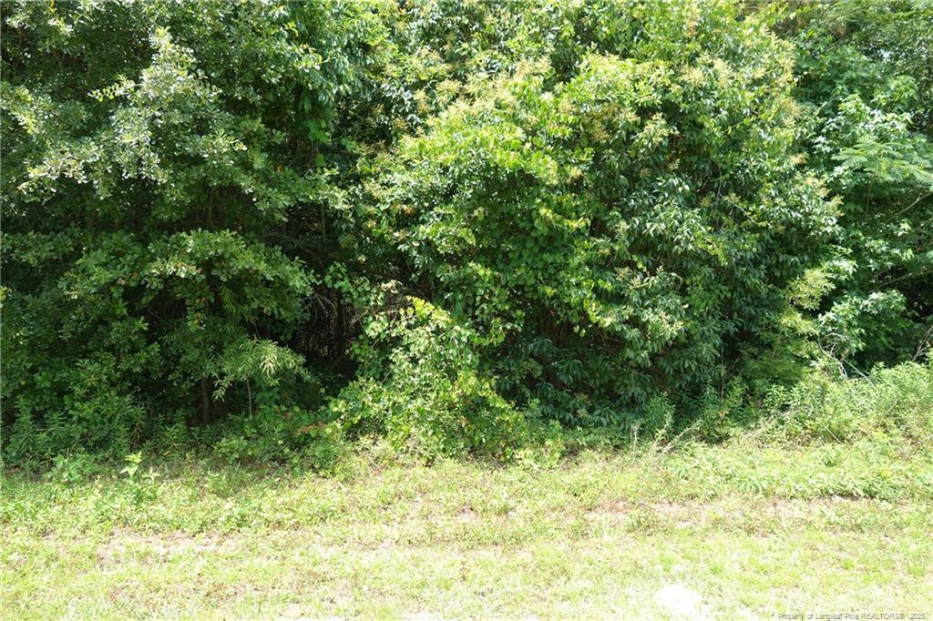 Nc 41 Highway Property Photo 1