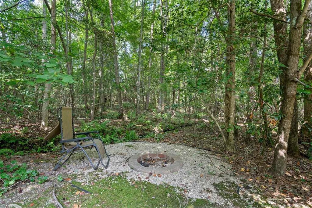 57 Spring Water Court Property Photo 48