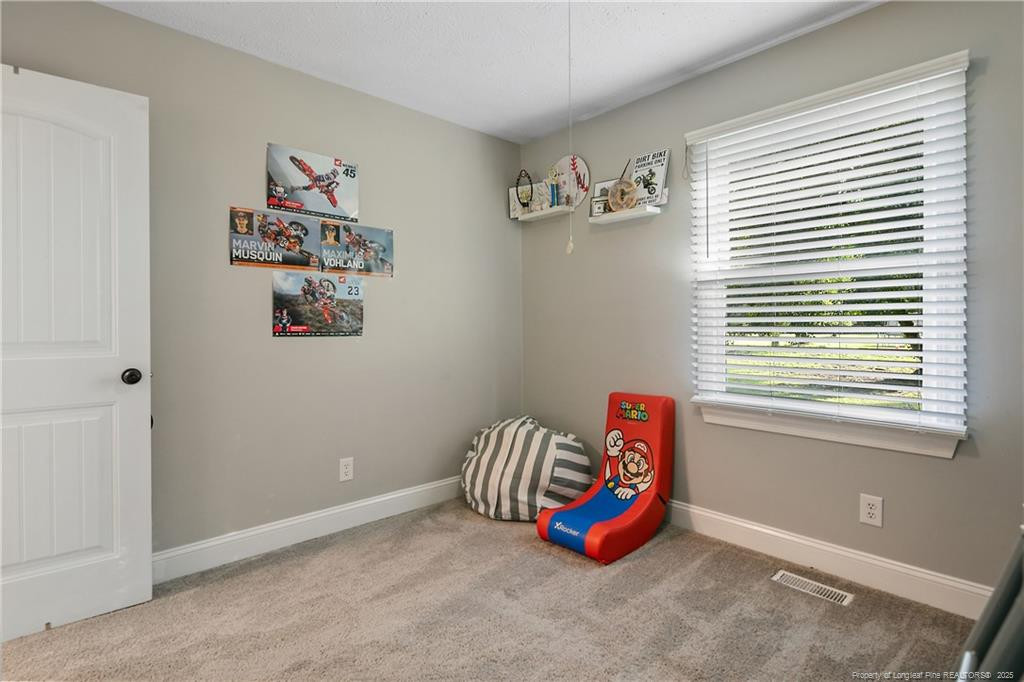 3831 Williford Street Property Photo 43