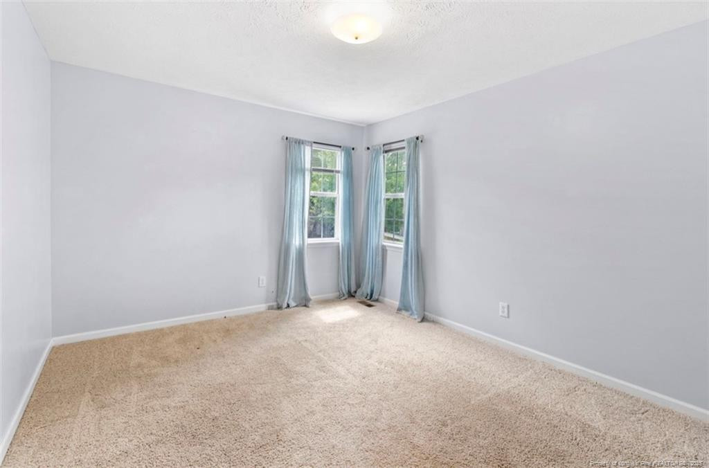2927 Dark Branch Road Property Photo 21