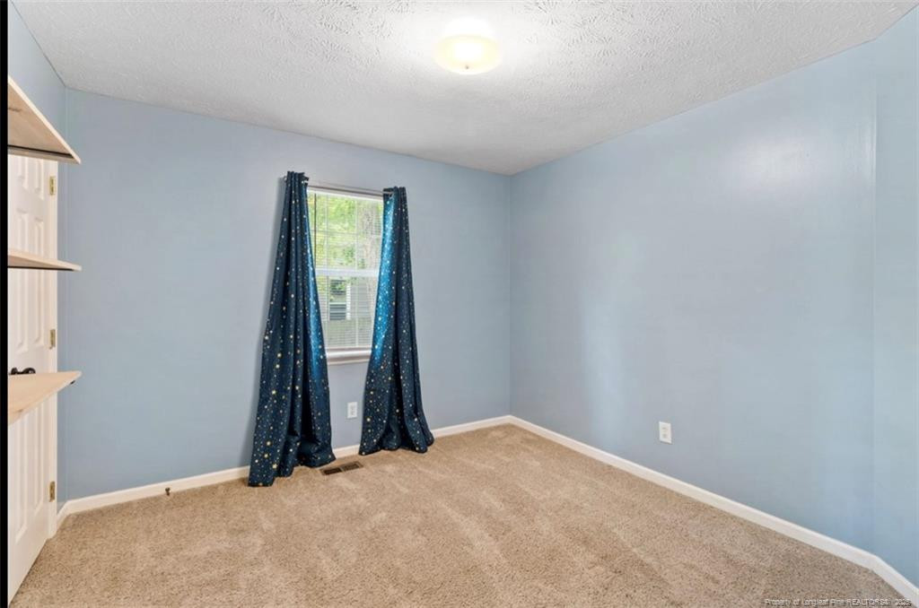 2927 Dark Branch Road Property Photo 25