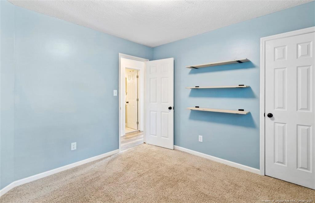 2927 Dark Branch Road Property Photo 26