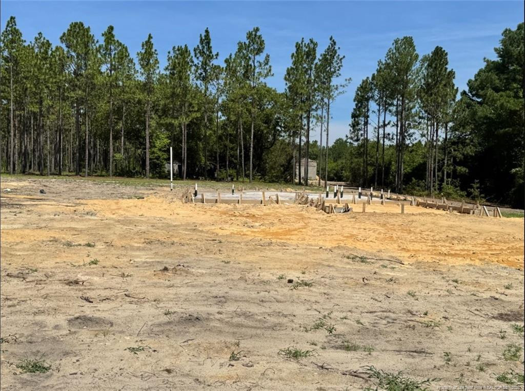 2154 Montrose (Lot 6) Road Property Photo 1