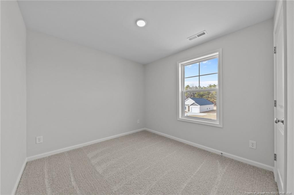 372 Hookbill (lot 106) Lane Property Photo 23