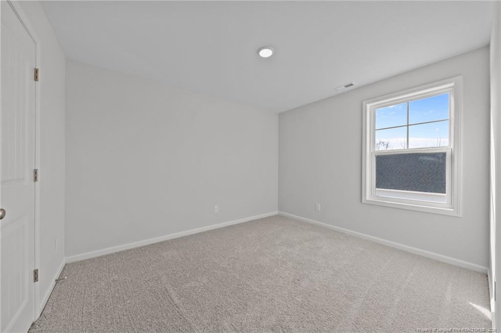 372 Hookbill (lot 106) Lane Property Photo 25