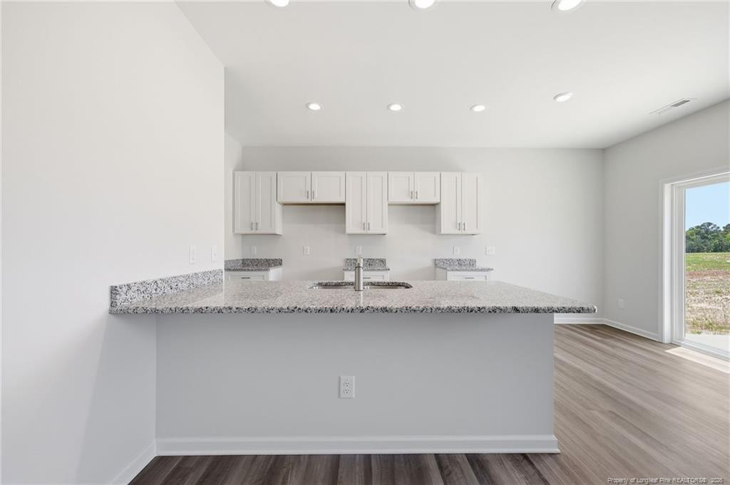 441 Black Duck (lot 101) Lane Property Photo 10