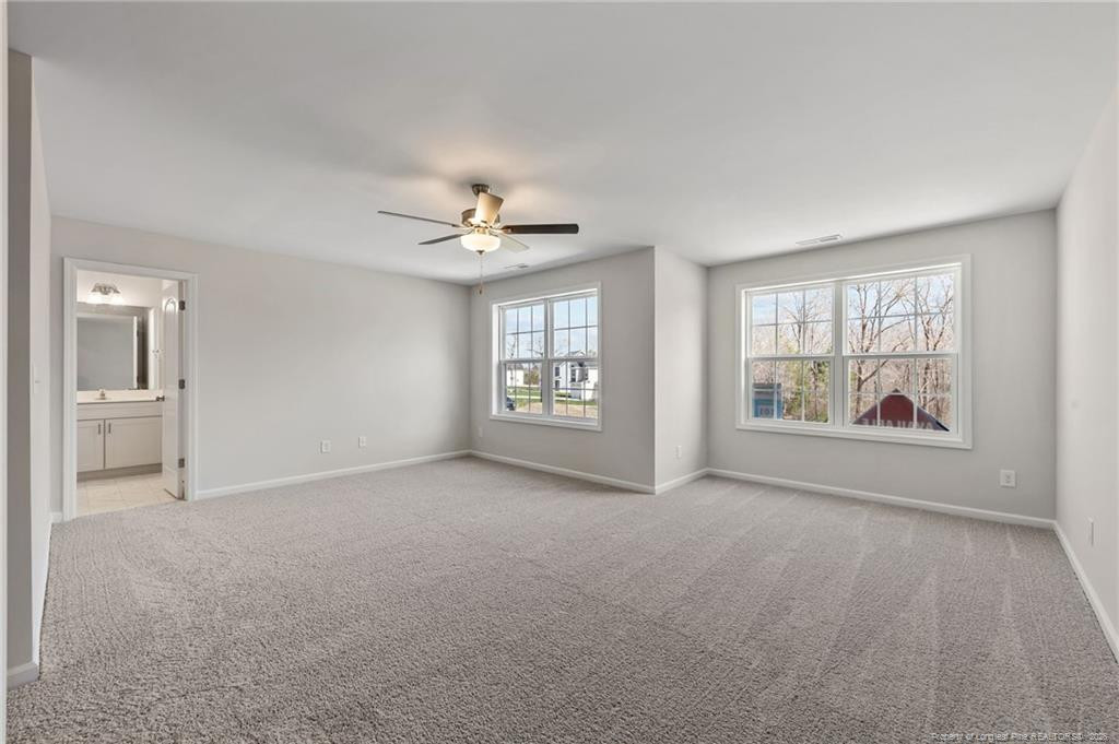 441 Black Duck (lot 101) Lane Property Photo 23