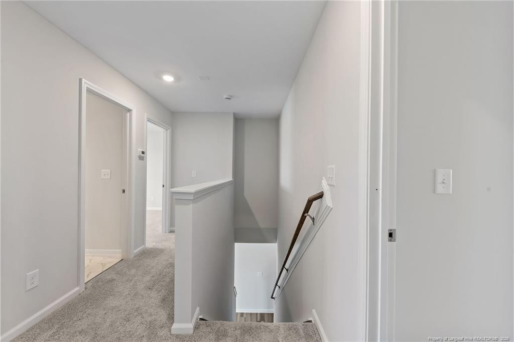 441 Black Duck (lot 101) Lane Property Photo 29