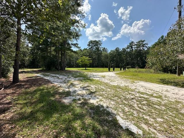 136 Promise Land Drive Property Photo 1
