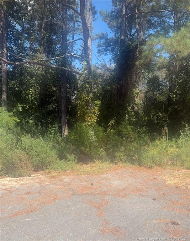 2905 Midland Court Property Photo 1