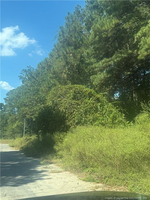 2907 Midland Court Property Photo 1